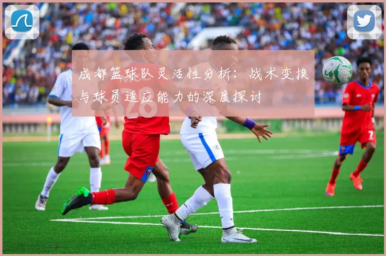 成都篮球队灵活性分析：战术变换与球员适应能力的深度探讨