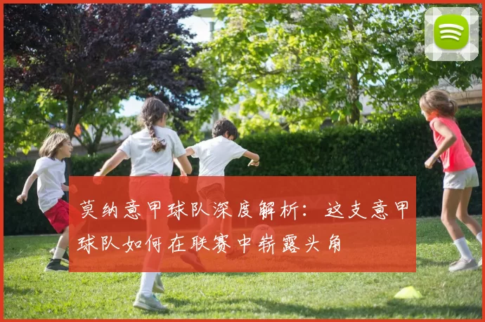 莫纳意甲球队深度解析：这支意甲球队如何在联赛中崭露头角