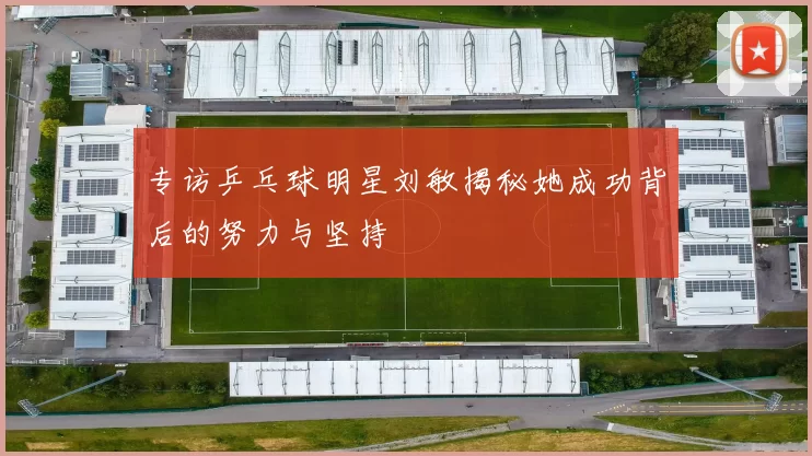 专访乒乓球明星刘敏揭秘她成功背后的努力与坚持
