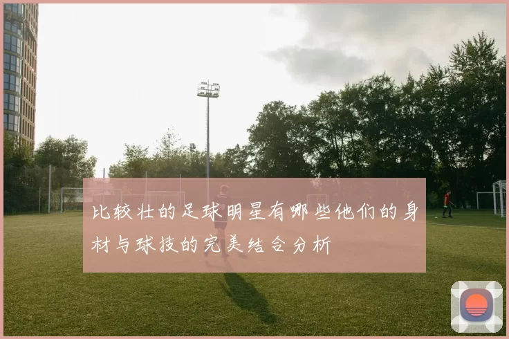比较壮的足球明星有哪些他们的身材与球技的完美结合分析