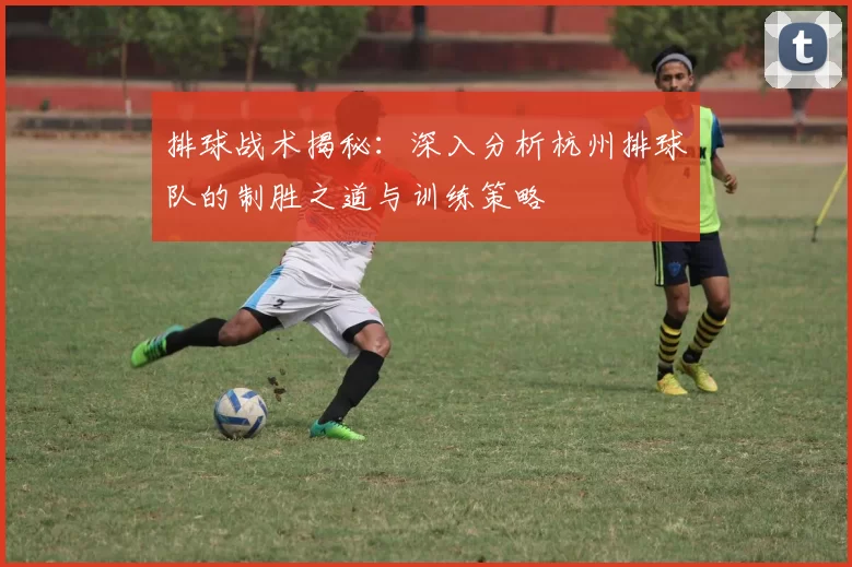排球战术揭秘：深入分析杭州排球队的制胜之道与训练策略