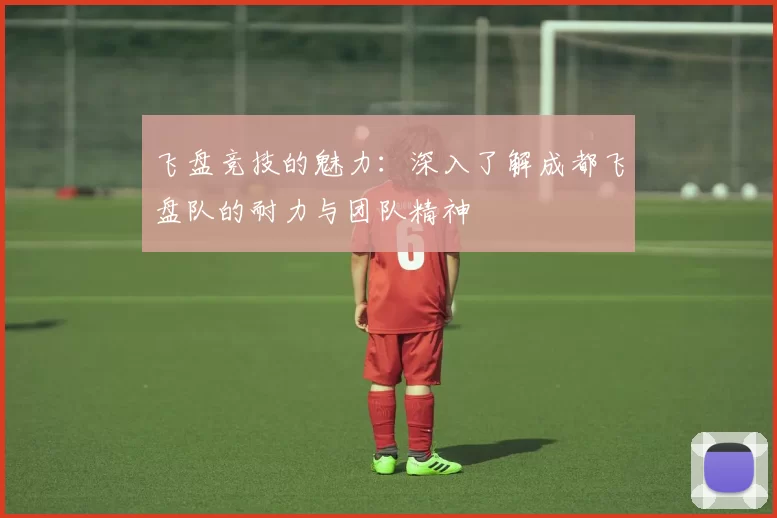 飞盘竞技的魅力：深入了解成都飞盘队的耐力与团队精神