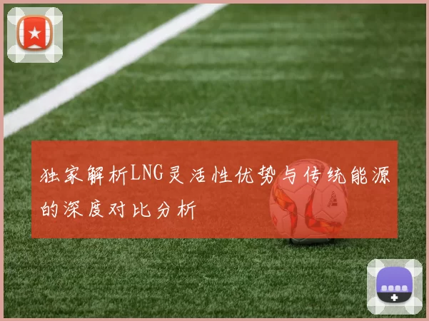 独家解析LNG灵活性优势与传统能源的深度对比分析