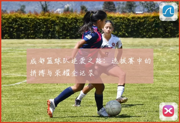 成都篮球队逆袭之路：选拔赛中的拼搏与荣耀全记录
