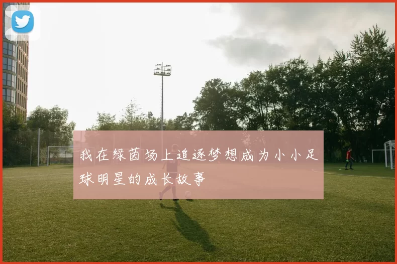 我在绿茵场上追逐梦想成为小小足球明星的成长故事