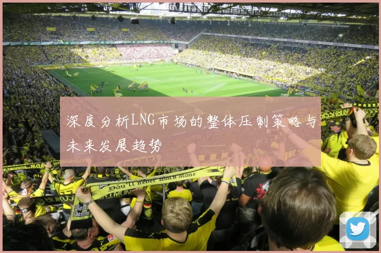 深度分析LNG市场的整体压制策略与未来发展趋势